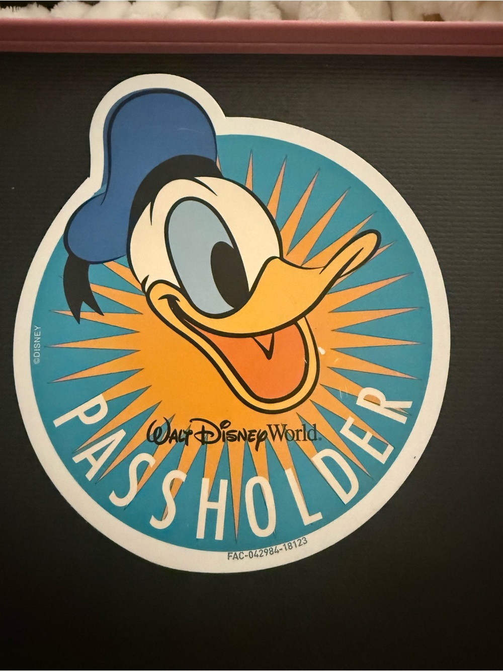 Walt Disney World Donald Duck Passholder Magnet